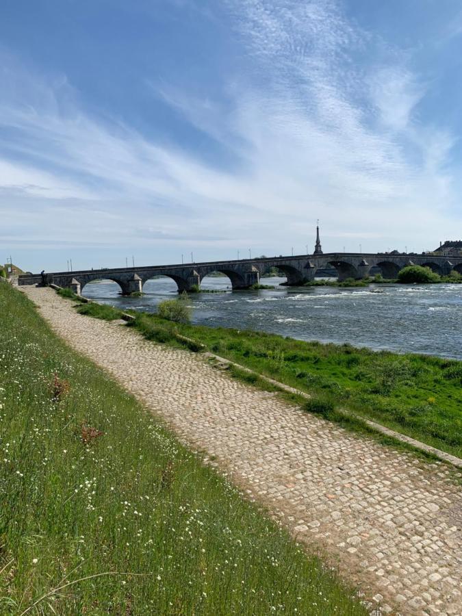 T2 - Au calme RoyaLoire - château à vue - luxe, rénové 2022 Blois Exterior foto