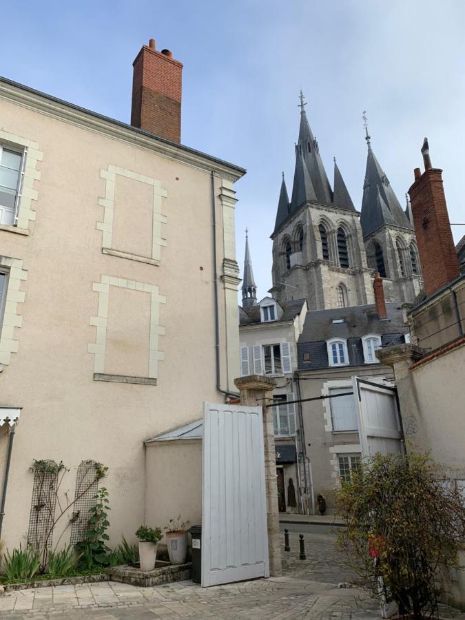 T2 - Au calme RoyaLoire - château à vue - luxe, rénové 2022 Blois Exterior foto